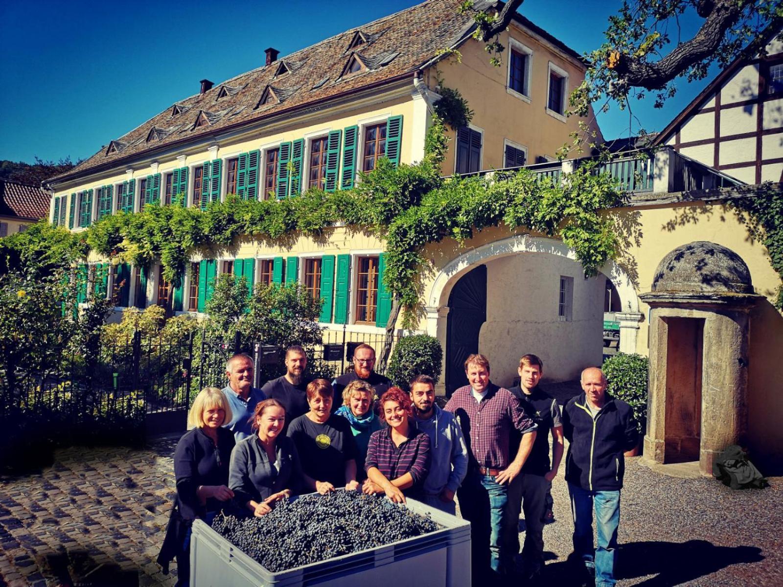 Unterkunft Im Weingut Fitz-Ritter Bad Dürkheim Exteriör bild