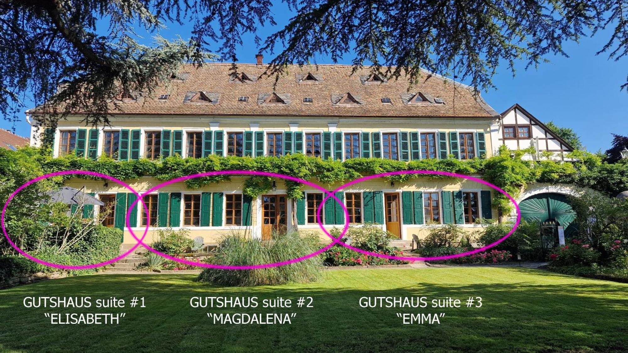 Unterkunft Im Weingut Fitz-Ritter Bad Dürkheim Exteriör bild