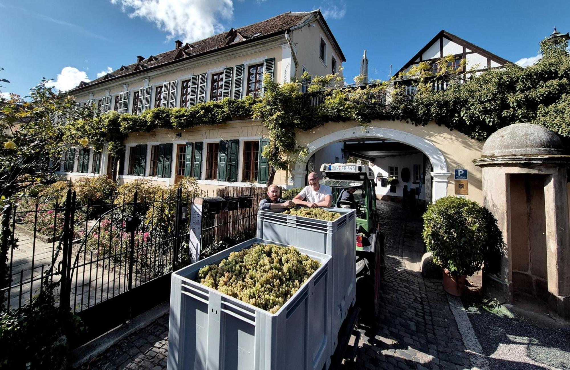Unterkunft Im Weingut Fitz-Ritter Bad Dürkheim Exteriör bild